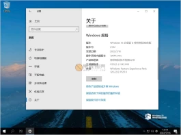 Windows 10 v2022-L.1345 神州网信政府版
