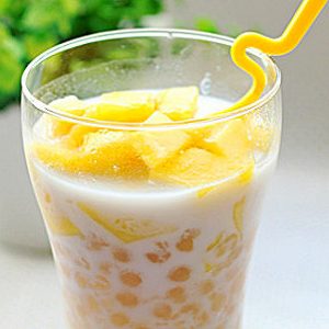 芒果椰子汁-安全技术质量
