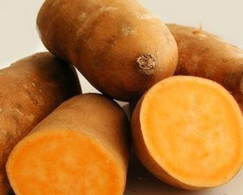 宝宝食用红薯的4大禁忌-安全技术质量