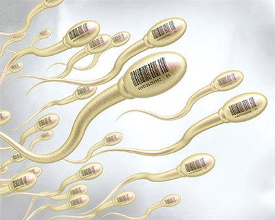 关于精子 多的是你不知道的事儿-安全技术质量
