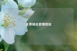 免费域名管理地址