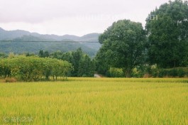 离开大城市，我攒钱回农村