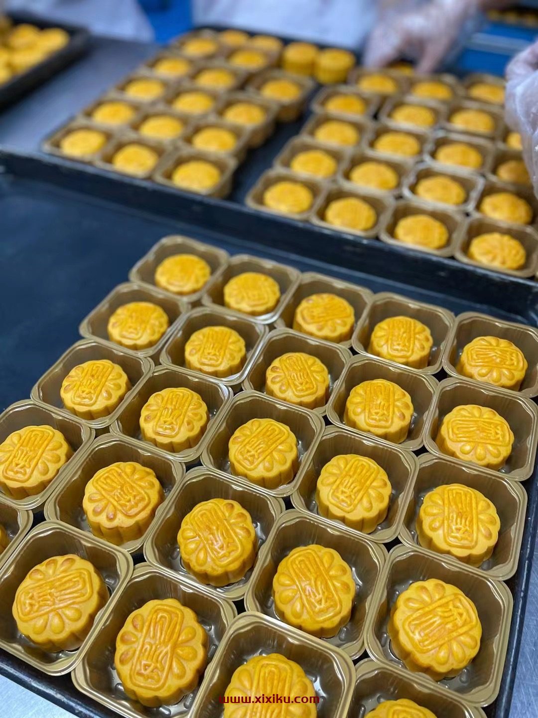 精品月饼-安全质量技术知识